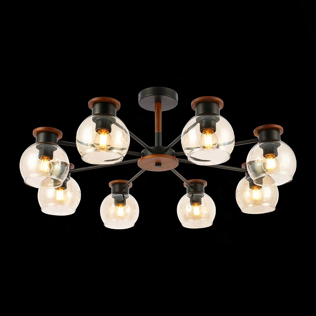 Потолочная люстра Evoluce Rasco SLE108102-08 Фото № 5