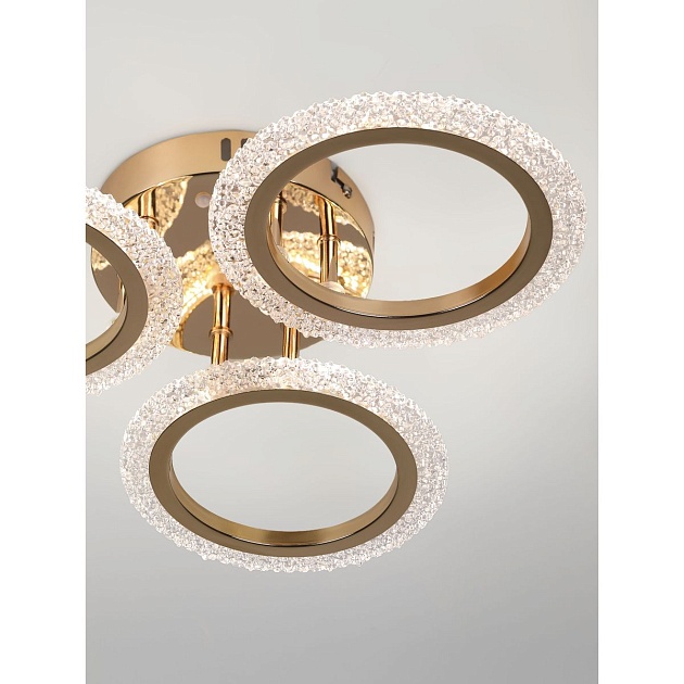 Потолочная светодиодная люстра Rivoli Evlalia 6178-703 Б0068399 Фото № 17