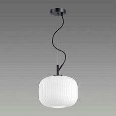 Подвесной светильник Odeon Light Pendant Roofi 4753/1 1