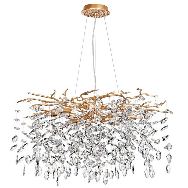 Подвесная люстра Odeon Light DELICA 4969/10 Фото № 1