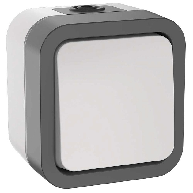 TORS Выключатель двухполюсный одноклавишный 10А IP55 TS211 серо-белый IEK TS-V16-0-10-55-K41 Фото № 1