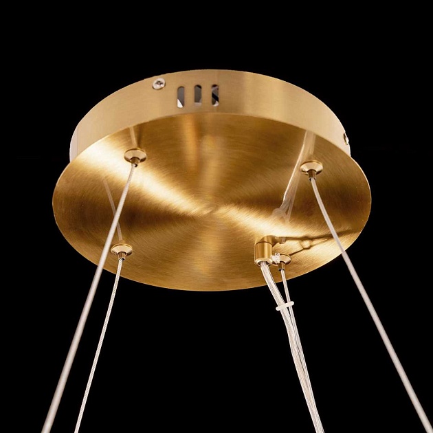 Подвесная светодиодная люстра Citilux Ричард CL336063 Фото № 9