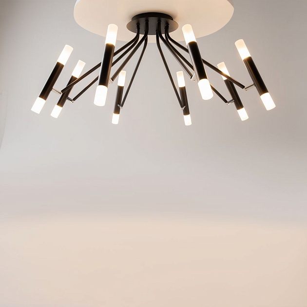 Потолочная люстра Maytoni Vigo MOD620CL-16B Фото № 6