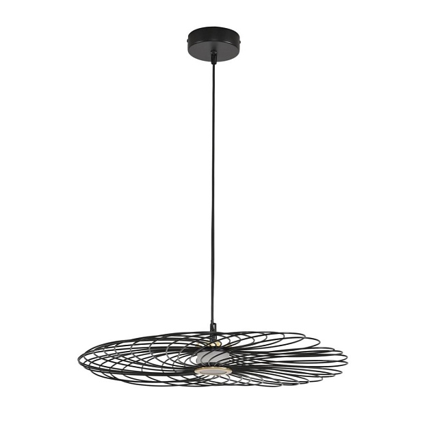 Подвес Lumion CAMOMILE 8379/10L Фото № 2