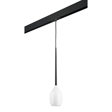 Комплект с трековым светильником Lightstar Meta d'uovo (807110+595007) PRO807110