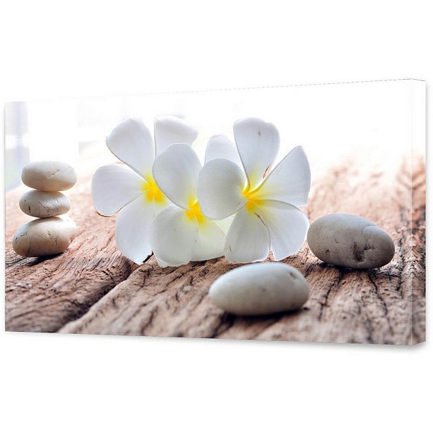 Холст Toplight 50х100х3см TL-H0031 Фото № 1