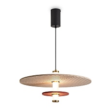 Подвесной светодиодный светильник Freya Acoustic FR5494PL-L9TR 4