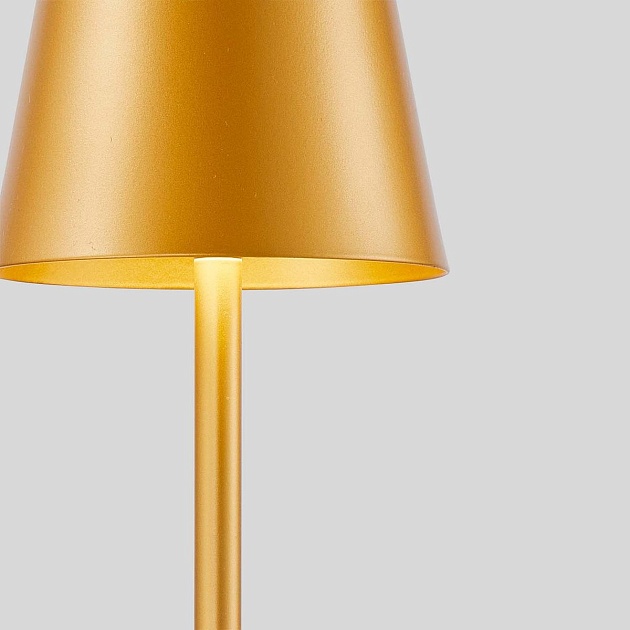 Настольная лампа F-Promo Pyari 4616-1T Фото № 6