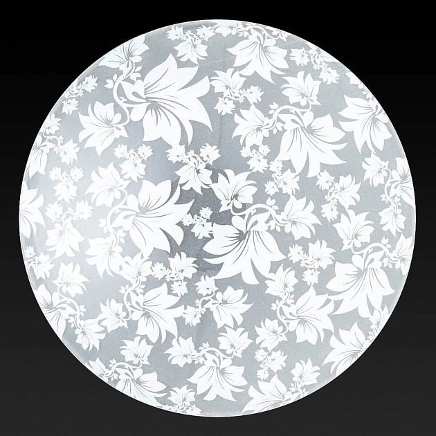 Настенный светильник Toplight Primrose TL9064Y-02WH изображение 2 Настенный светильник Toplight Primrose TL9064Y-02WH Фото № 2