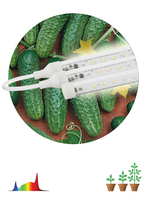 Модульный светодиодный светильник для растений ЭРА Fito-3х10W-Line-Ra90 Б0049315 фото 2