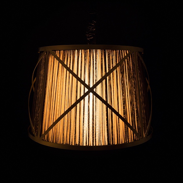 Подвесной светильник Arte Lamp Vitruvio A2805SP-1BK фото 6