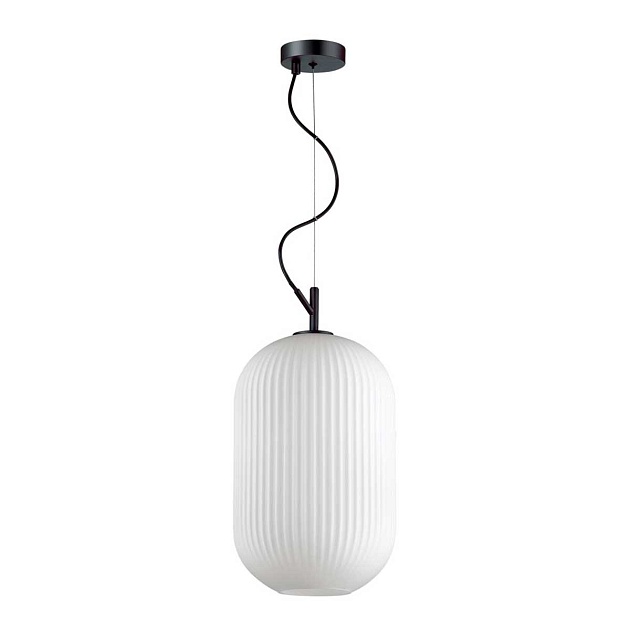 Подвесной светильник Odeon Light Pendant Roofi 4752/1 фото 