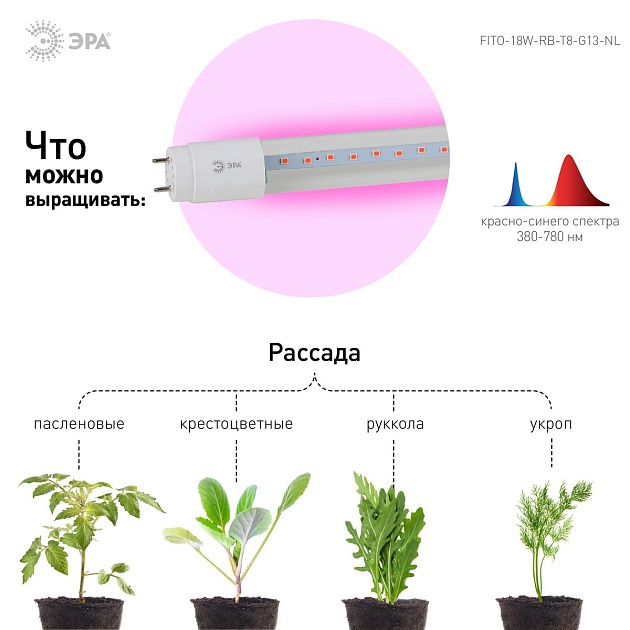 Лампа светодиодная для растений ЭРА G13 18W 1200K прозрачная Fito-18W-RB-Т8-G13-NL Б0042990 фото 2
