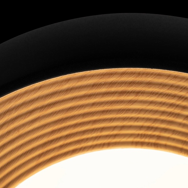 Потолочный светильник Loft IT Folk 10255/350 Black изображение 3 Потолочный светильник Loft IT Folk 10255/350 Black Фото № 3