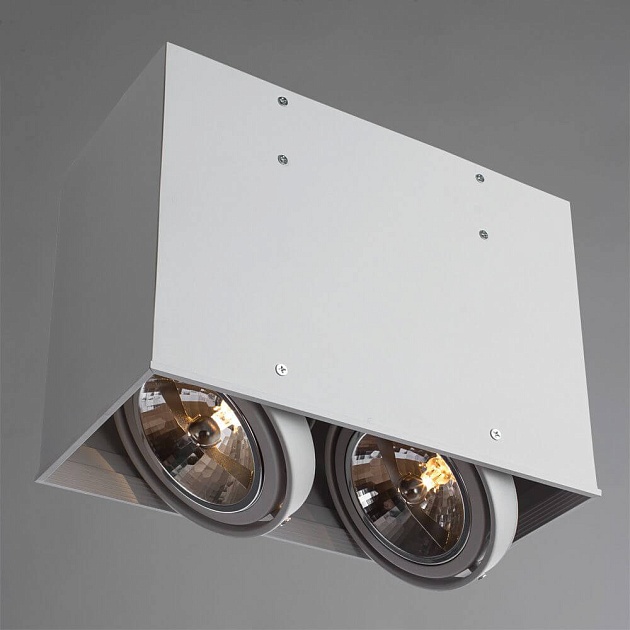 Потолочный светильник Arte Lamp Cardani A5936PL-2WH фото 2