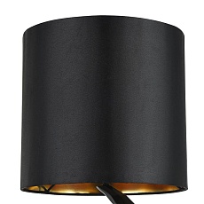 Настольная лампа Maytoni Nashorn MOD470-TL-01-B 4