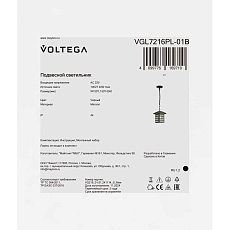Уличный подвесной светильник Voltega Взгляд / Peek VGL7216PL-01B 1