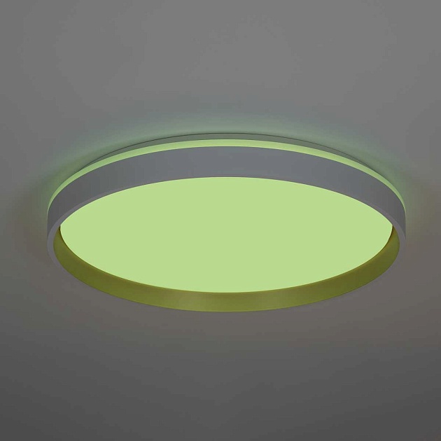 Светильник потолочный Citilux ENZO CL753510G Фото № 11