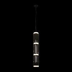 Подвесной светодиодный светильник Loft IT Noctambule 10194/L 3