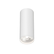 Накладной светильник Denkirs Tube / Тьюб DK2051-WH 1