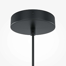 Подвесной светильник Maytoni Roots MOD195PL-01W 4