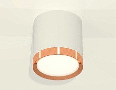 Комплект накладного светильника Ambrella light Techno Spot XS (C8141, N8126) XS8141005 1