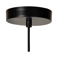 Подвесной светильник Lucide SISKA 45404/01/65 4