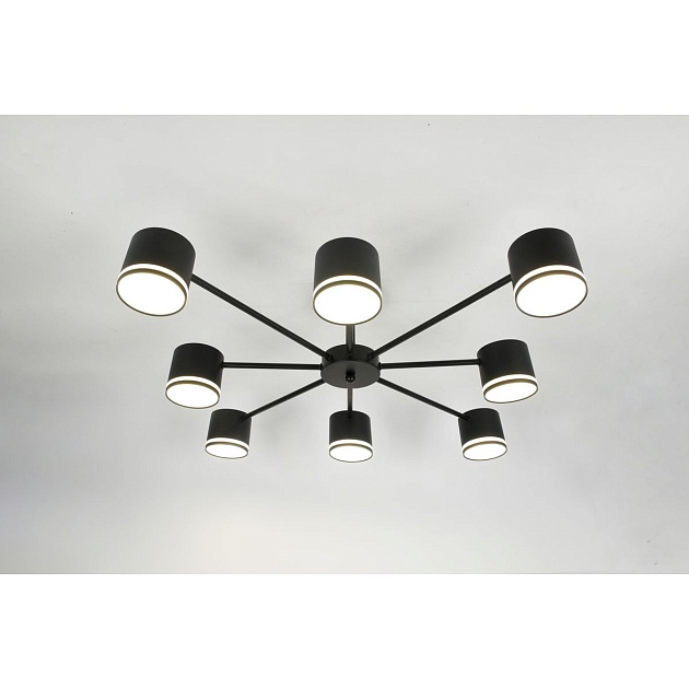 Потолочная люстра Rivoli Rosemary 3189-308 Б0071292 изображение 9 Потолочная люстра Rivoli Rosemary 3189-308 Б0071292 Фото № 9