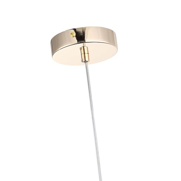 Подвесной светильник ST Luce Elegra SL1402.253.01 изображение 3 Подвесной светильник ST Luce Elegra SL1402.253.01 Фото № 3