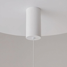 Подвесной светильник Maytoni Ray P022PL-L20W3K 2