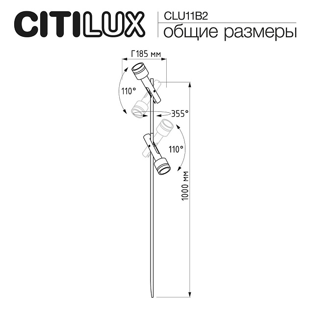 Ландшафтный светильник Citilux Spotter CLU11B2 изображение 2 Ландшафтный светильник Citilux Spotter CLU11B2 Фото № 2