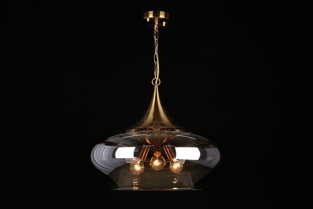 Подвесная люстра Aployt Franko APL.601.16.03 Фото № 3