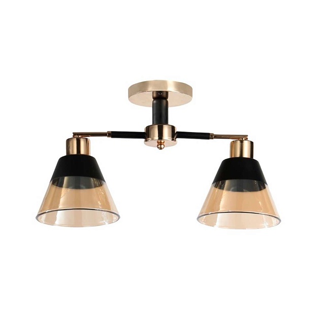 Потолочный светильник ЭкономСвет 12209/2BK+FGD AMB+BK изображение 1 Потолочный светильник ЭкономСвет 12209/2BK+FGD AMB+BK Фото № 1