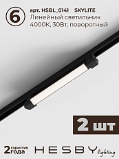 Накладная однофазная трековая система Hesby Lighting Skylite №14 со светильниками HSBL_kompl_S014_NI3B4K 2
