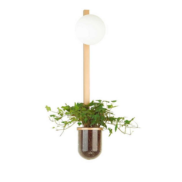 Настенный светильник Odeon Light Walli Flower 4682/1WB изображение 1 Настенный светильник Odeon Light Walli Flower 4682/1WB Фото № 1