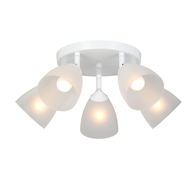 Потолочная люстра Vitaluce V4355-0/5PL изображение 1 Потолочная люстра Vitaluce V4355-0/5PL Фото № 1