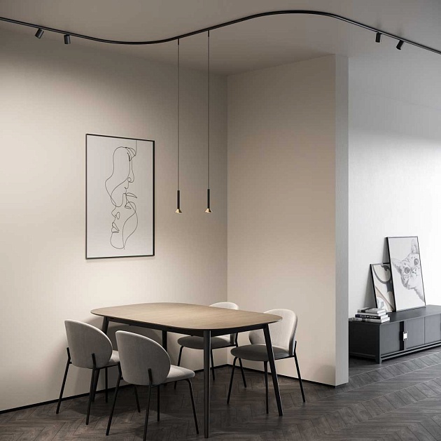 Шинопровод накладной Elektrostandard 85168/00 a067270 Фото № 2