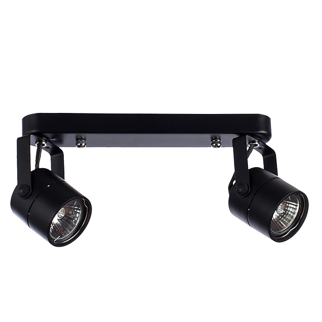 Спот Arte Lamp A1311PL-2BK Фото № 1
