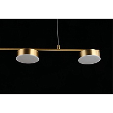 Подвесная светодиодная люстра Aployt Usia APL.047.13.35 4