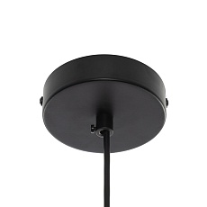 Подвесной светильник Citilux Orton CL202210 2
