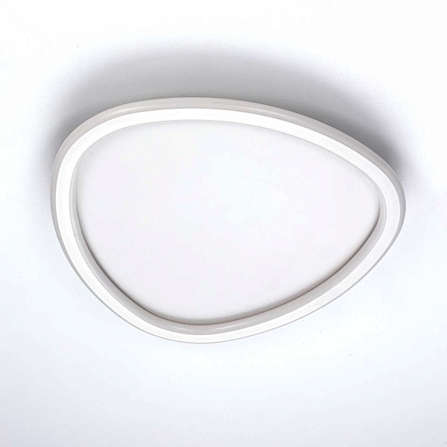 Потолочная люстра Citilux CL215B240E Фото № 3