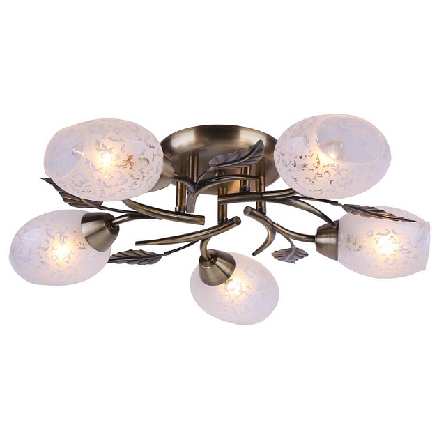 Потолочная люстра Arte Lamp Anetta A6157PL-5AB фото 4