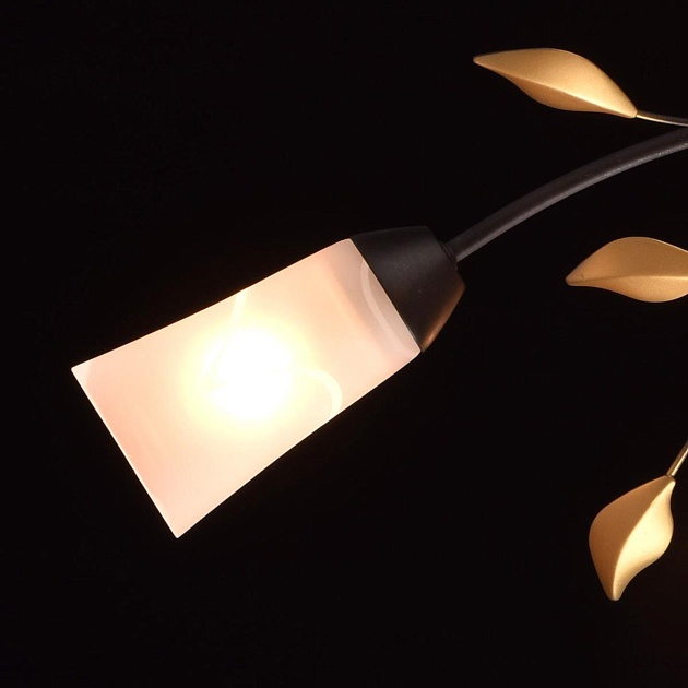 Потолочная люстра MW-Light Восторг 242015206 изображение 6 Потолочная люстра MW-Light Восторг 242015206 Фото № 6