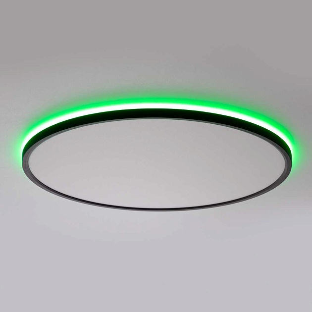 Потолочный светильник Citilux NORMA CL749501 изображение 24 Потолочный светильник Citilux NORMA CL749501 Фото № 24