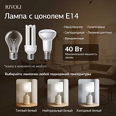 Настольная лампа Rivoli Marian 7549-502 Б0070135 4