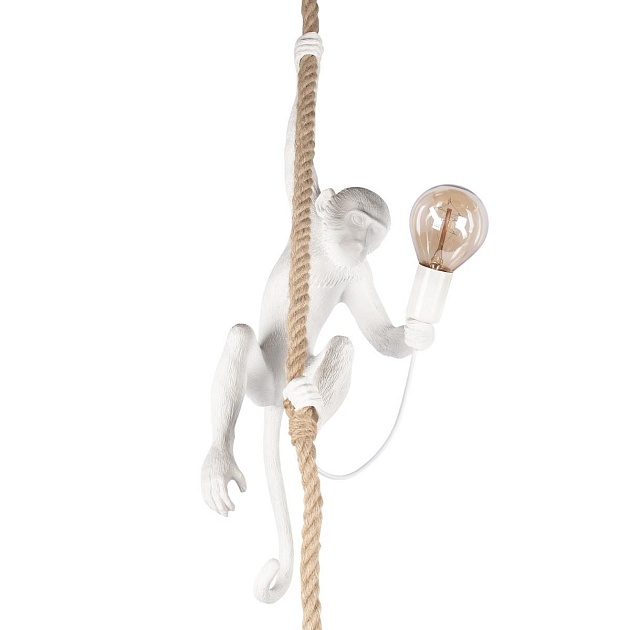 Подвесной светильник Loft IT Monkey 10314P Фото № 1