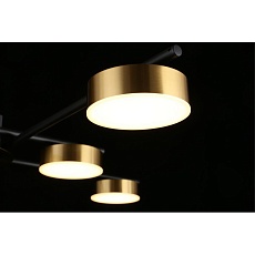 Потолочная светодиодная люстра Aployt Delayn APL.042.07.56 5