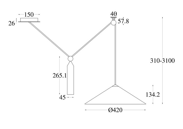 Подвесной светильник Maytoni Technical Peso P080PL-01B Фото № 2