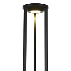 Ландшафтный светильник ST Luce Glorr SL9535.415.01 3
