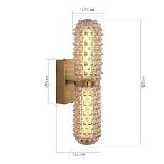 Настенный светильник ST Luce SAGUARO SL6144.301.01 1